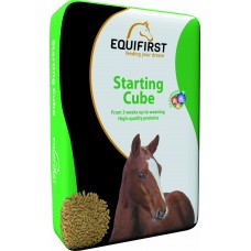 Equifirst Starting Cube